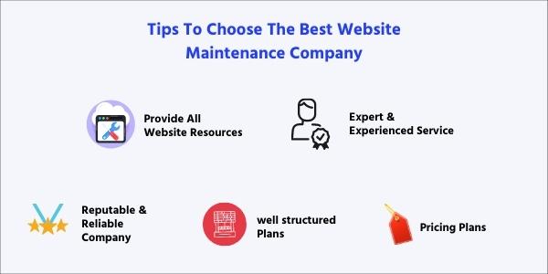 Tips To Choose The Best Website Maintenance Service Company
