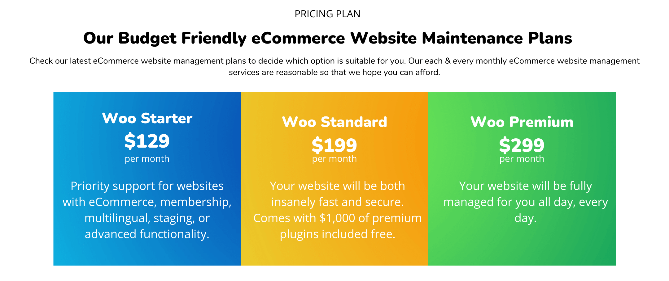 WooCommerce Website Maintenance Service