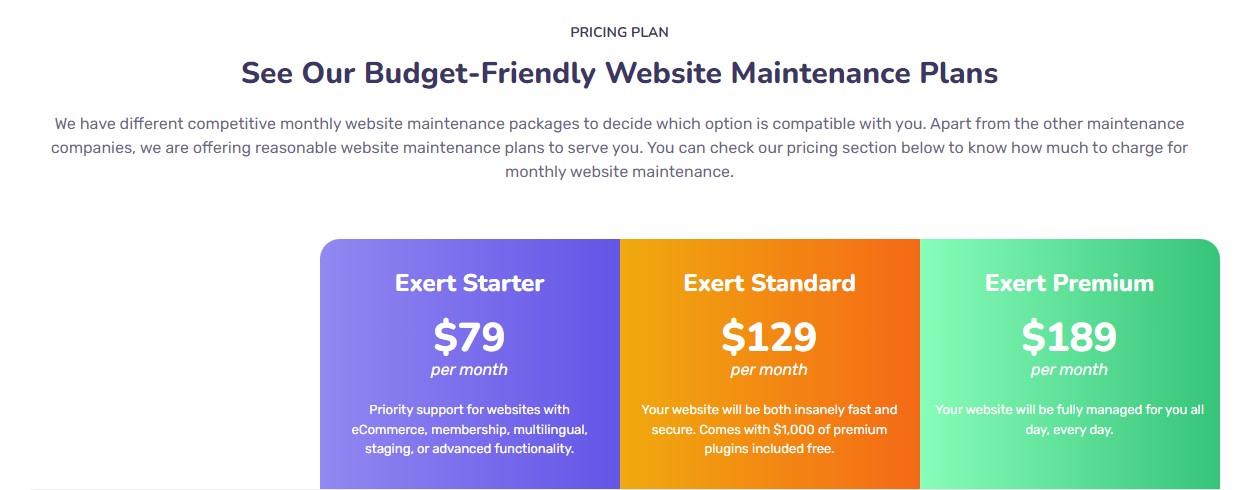 Wordpress Website Maintenance Service