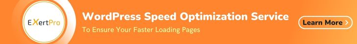 Speed Optimization Service